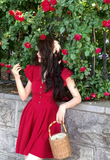 V-neck flying sleeves dress HZ1024