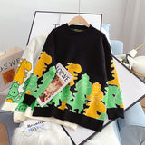 Dinosaur Long Sleeve Sweater HZ1024