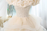 A-line off-the-shoulder tulle lace short prom dress, champagne homecoming dress HZ1024