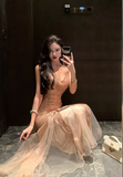 retro sequined mesh dress Party dress HZ1024