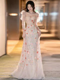 Pink A-Line Long Sleeve Tulle Lace Long Prom Dress HZ1024