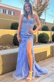 Mermaid Lace Long Prom Dress, Purple Formal Evening Dress HZ1024