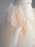 Champagne A-Line Strapless Tulle Wedding Dress£¬Gentle Beaded Long Bridal Dress HZ1024