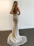 Gorgeous V-Neck Prom Party Gowns Lace Mermaid Evening Gowns HZ1024