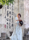 Chinese style suspender satin pleated waist gentle temperament long skirt HZ1024