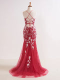 V Neck Long Prom Dress with Appliques Beading HZ1024