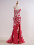 V Neck Long Prom Dress with Appliques Beading HZ1024