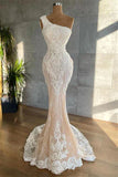 Asymmetrical Lace Applique Floor-length Sleeveless Prom Dress HZ1024