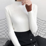 Neck Long Sleeves Slim Fit Pullover Sweater HZ1024