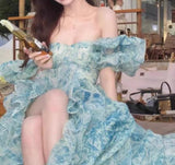 A-Line off-shoulder organza print Long Prom Dress Birthday Adult Ceremony Dress HZ1024