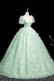 A-Line Tulle Beaded Sequin Long Prom Dress, Beautiful 3D Butterfly Evening Dress HZ1024
