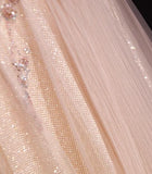 Pink A-Line V-neck Glitter Tulle with Beaded Long Prom Dress Adult Ceremony Evening Dress HZ1024