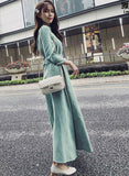 A Line Autumn Dress HZ1024