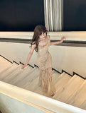 Pink Spaghetti Strap Mermaid Tulle Sequined Prom Dress Birthday Dress HZ1024