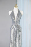 Sequins Sheath V-Neck Long Prom Dress Shiny Evening Dress HZ1024