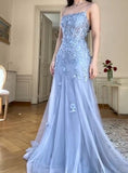 Blue Tulle A-Line Spaghetti Strap Appliqu¨¦ Long Prom Dress Evening Dress HZ1024