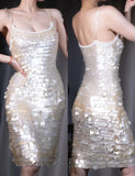 Silver Sequin Spaghetti Strap Sheath Prom Dress Sexy Party Dress HZ1024