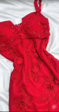 Fairytale Red Chiffon Prom Dress for Party&Birthday Glitter Beaded Applique Evening Gown HZ1024