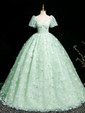 Mint Green A-Line Puff Sleeves Tulle Lace Long Prom Dress Formal Dress HZ1024