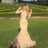 Sweetheart Neck Mermaid Lace Appliques Formal Evening Dresses Long Prom Dresses HZ1024