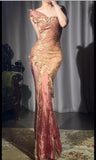 Gold Lace Applique Bodycon Pink Tulle Long Prom Dresses Vintage Formal Evening Dress HZ1024