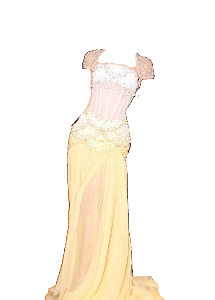 Purple Sheath Tulle Beaded Sleeves Long Prom Dresses HZ1024