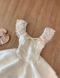 Lace Layered Homecoming Dress with Bow Tulle Retro Short Prom Dresses HZ1024