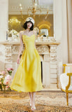 Butter Yellow Spaghetti Strap A-Line Birthday Dress Elegant Backless Party Dress HZ1024