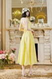 Butter Yellow Spaghetti Strap A-Line Birthday Dress Elegant Backless Party Dress HZ1024