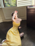 Butter Yellow Spaghetti Strap A-Line Birthday Dress Elegant Backless Party Dress HZ1024