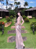 Beaded Chiffon Sheath Prom Dresses Backless Evening Dresses HZ1024