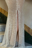 Champagne Sheath Spaghetti Straps Mermaid Sequins Long Prom Dress for Party&Special Events HZ1024