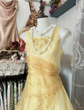 Butter Yellow Evening Gowns Round Neck A-Line Tulle Party Dress HZ1024