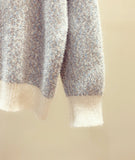 Cute Turtleneck Sweater HZ1024