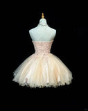 Sweetheart Neck A-Line Tulle Lace Short Prom Dress Homecoming Dress HZ1024
