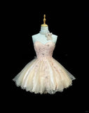 Sweetheart Neck A-Line Tulle Lace Short Prom Dress Homecoming Dress HZ1024