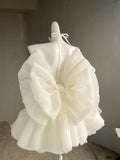 Off-White Strapless A-Line Tulle Short Prom Dresses Homecoming Dress HZ1024