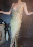 Spaghetti Straps Sheath Beaded Chiffon Long Prom Dresses Elegant Formal Evening Gowns with 3D Appliques HZ1024