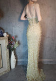 Spaghetti Straps Sheath Beaded Chiffon Long Prom Dresses Elegant Formal Evening Gowns with 3D Appliques HZ1024