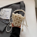 Chain Mini Crossbody Bag HZ1024
