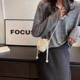 Chain Mini Crossbody Bag HZ1024