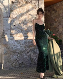 Sequined V-Neck Suspender Mermaid Maxi Dress HZ1024
