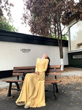 style V-neck long-sleeved knitted dress HZ1024