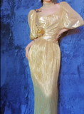 Gold Square Neck Sheath Chiffon Long Prom Dresses Formal Evening Gowns HZ1024
