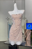 Spaghetti Straps Champagne Sheath Tulle Diamond Short Party Dresses Homecoming Dresses HZ1024