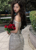Silver Spaghetti Strap Sheath Short Beaded Fashion Party Dress HZ1024