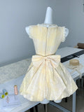 Yellow A-Line V-Neck Lace Tulle Short Party Dress Birthday Dress HZ1024