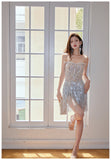 Sheath Strapless Beaded Short Evening Dress Glitter Homecoming Dress With Tassels HZ1024