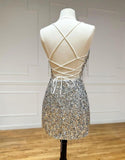 Silver V-neck Bodycon Sequin Short Party Dress Backless Homecoming Dress with Tassels HZ1024
