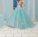 Blue Strapless Tulle Beaded Long Ball Gowns Glamour Quincea?era Dress HZ1024